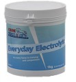 Everyday Electrolyte